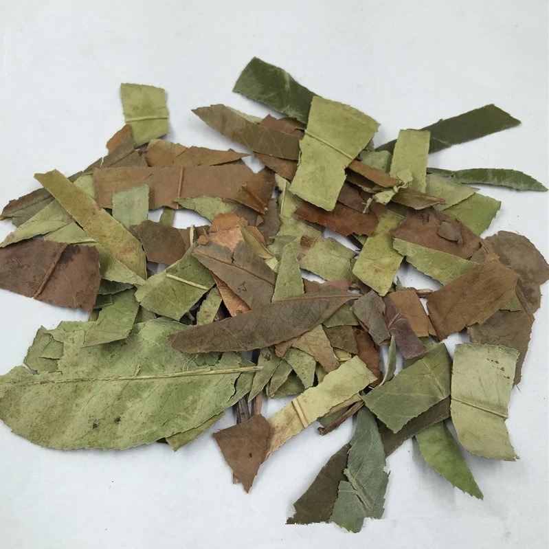 同仁堂石楠叶中药材 干货 石南叶 野生石楠叶 另有南烛叶新货【图片