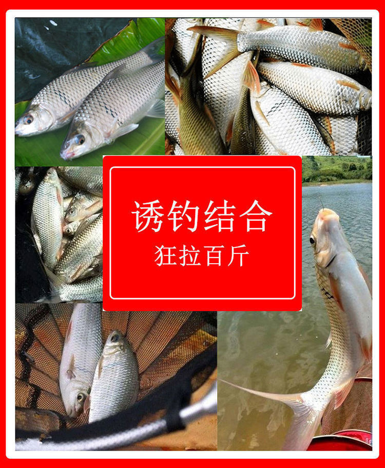 廣東土鯪魚餌料野釣水庫野河水庫廣西麥鯪泰鯪魚食梅州凌魚打窩料鯪魚