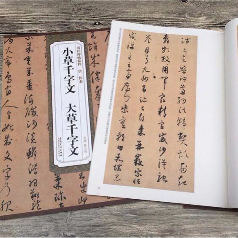 《怎樣寫草書行書隸書楷書何大齊毛筆字帖成人學生練字貼唐詩千字文