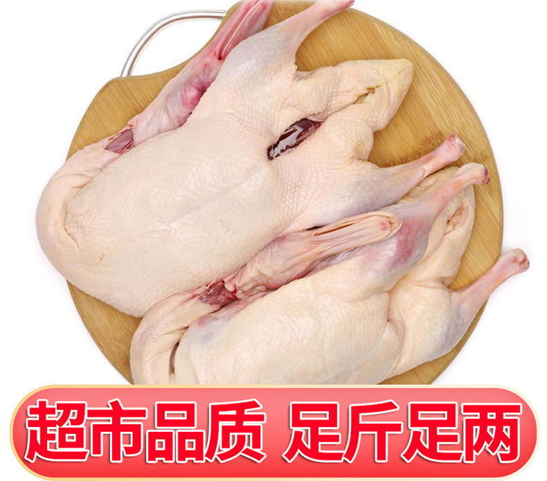 农家散养大白鹅杀后整只新鲜冷冻鹅肉嫩鹅土鹅大鹅生鲜65斤重带心肝