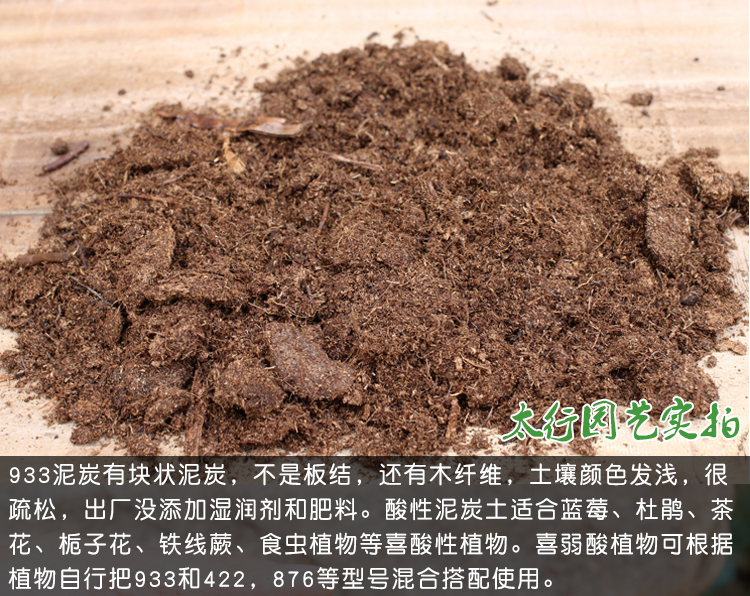 12ea20ae601412ea.jpg