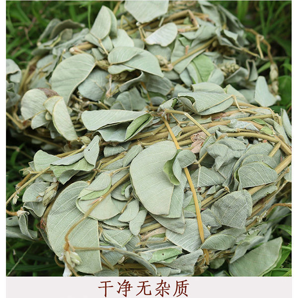 伊梵麦广西金钱草茶正宗新鲜晒干野生天然大叶全草切断泡茶 金钱草