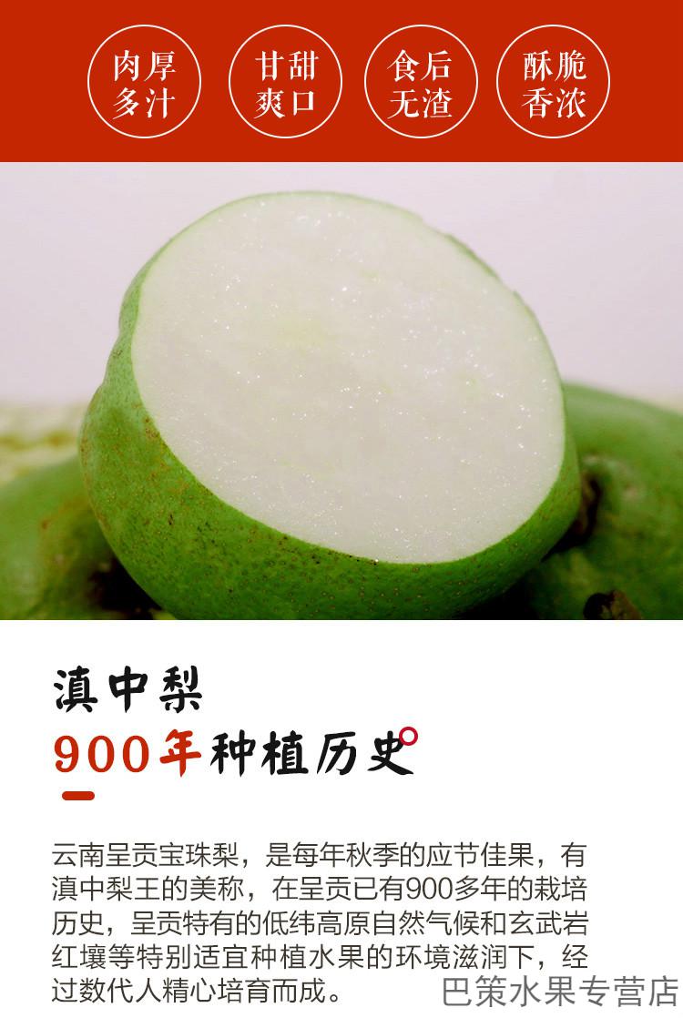 云南宝珠梨呈贡万溪冲百年老树梨云南特产古树冰糖梨现摘时令孕妇水果