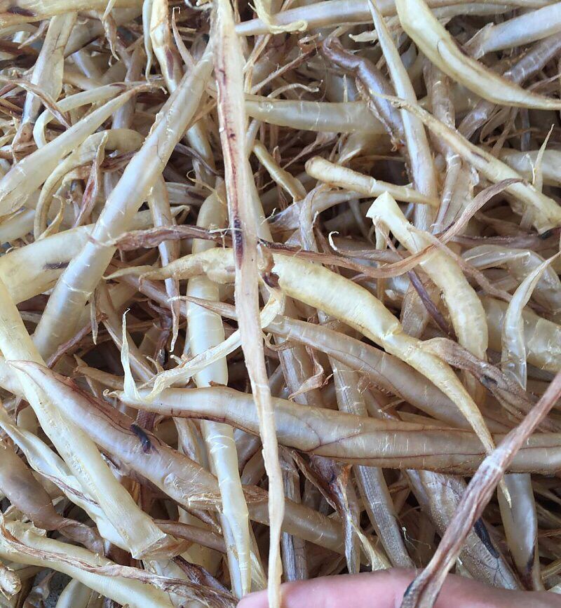 黄鳗鱼胶 250g/袋 小鳗鱼胶仔 鳝鱼胶仔 黄鳗鱼胶【图片 价格 品牌