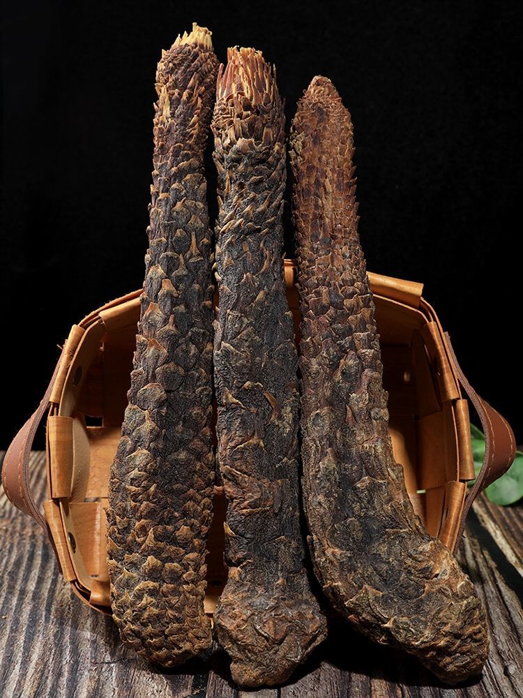 肉苁蓉阿拉善肉苁蓉内蒙古油苁蓉软大芸锁阳男性滋补 泡茶泡酒料 特大