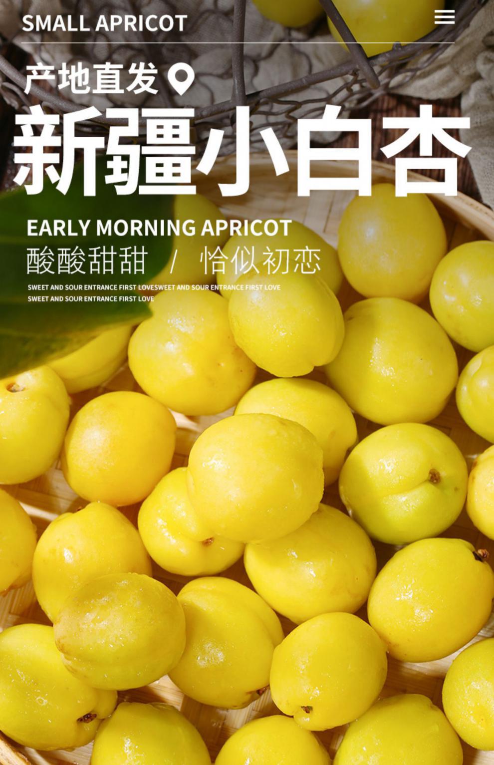 源外园新疆小白杏新鲜轮台库车白杏4斤应季孕妇儿童