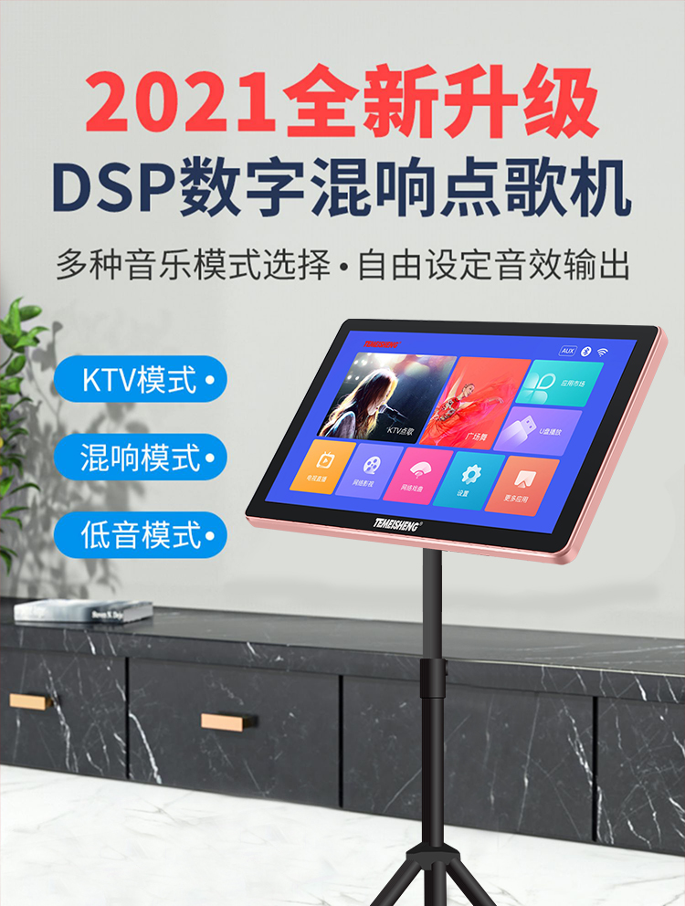 特美声(temeisheng)点歌机红外触摸屏家用卡拉ok家庭ktv户外移动点歌