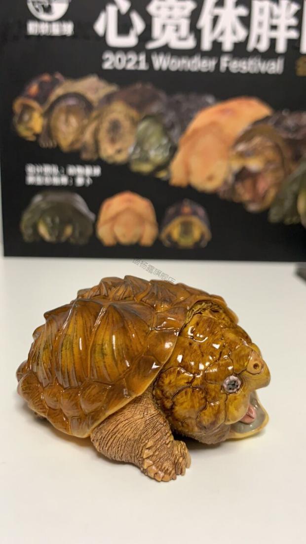 心宽体胖系列 动物星球心宽体胖系列白化鳄龟手办限量初版稀少现货