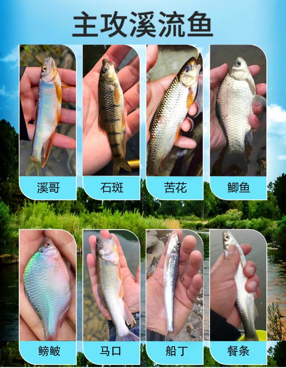 ebf86b0db57c9655.jpg