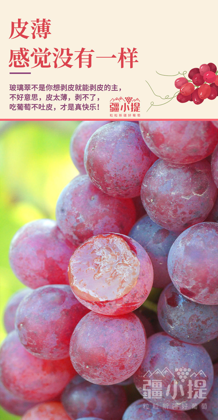 新疆玻璃翠脆葡萄特别甜无籽红紫提子吐鲁番当季新鲜现摘水果四斤值