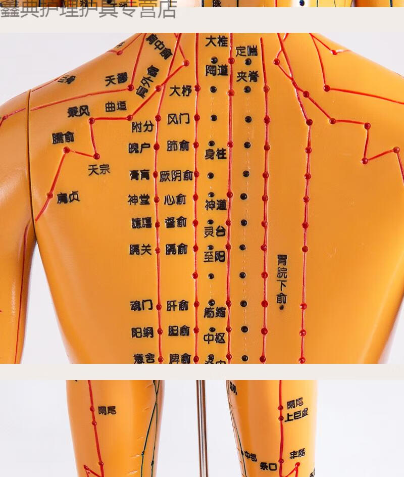 人身穴位模型针灸模型橡胶人体针灸穴位模型经络铜人中医教学人体彩色