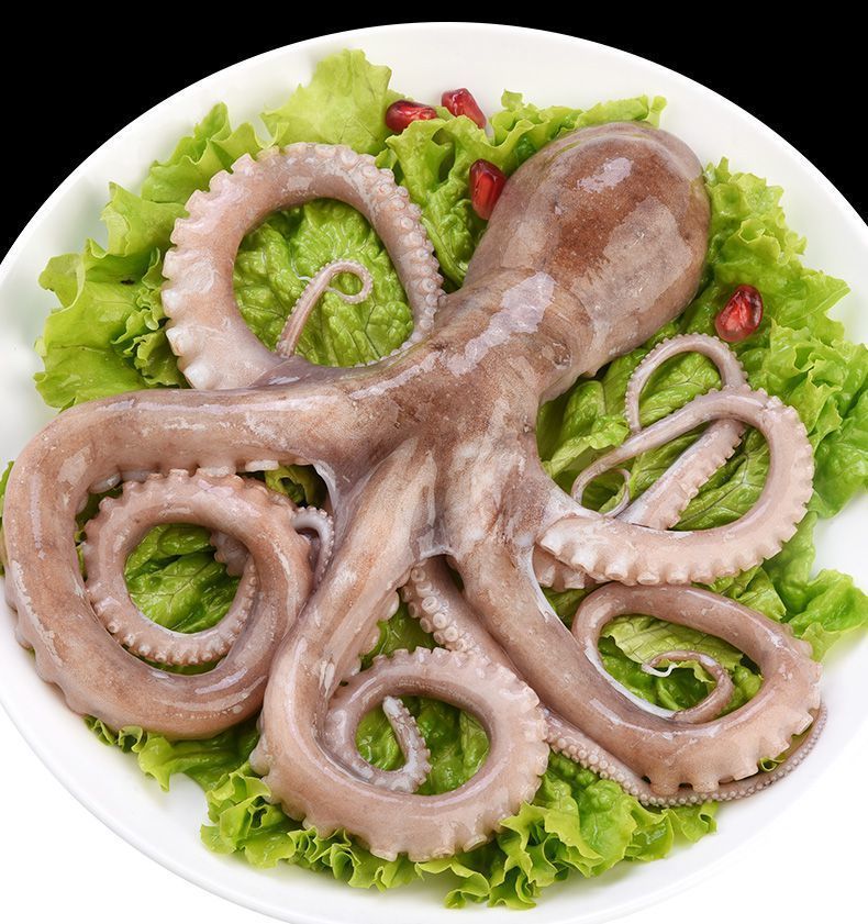 新鲜鲜活爆头长腿八爪鱼大爆头生鲜海鱼海鲜水产冷冻批发火锅食材 5斤