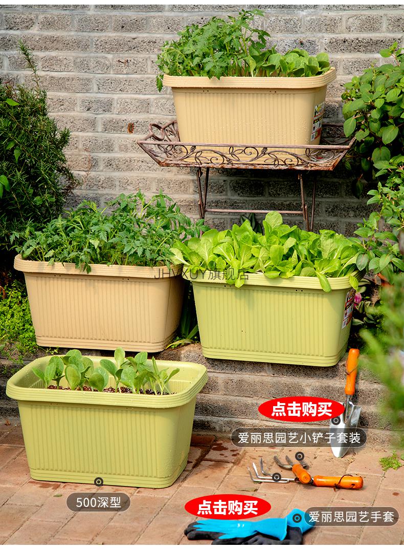 2022新款爱丽丝花盆超大爱丽思种菜盆家用阳台种植蔬菜专用种植箱专用
