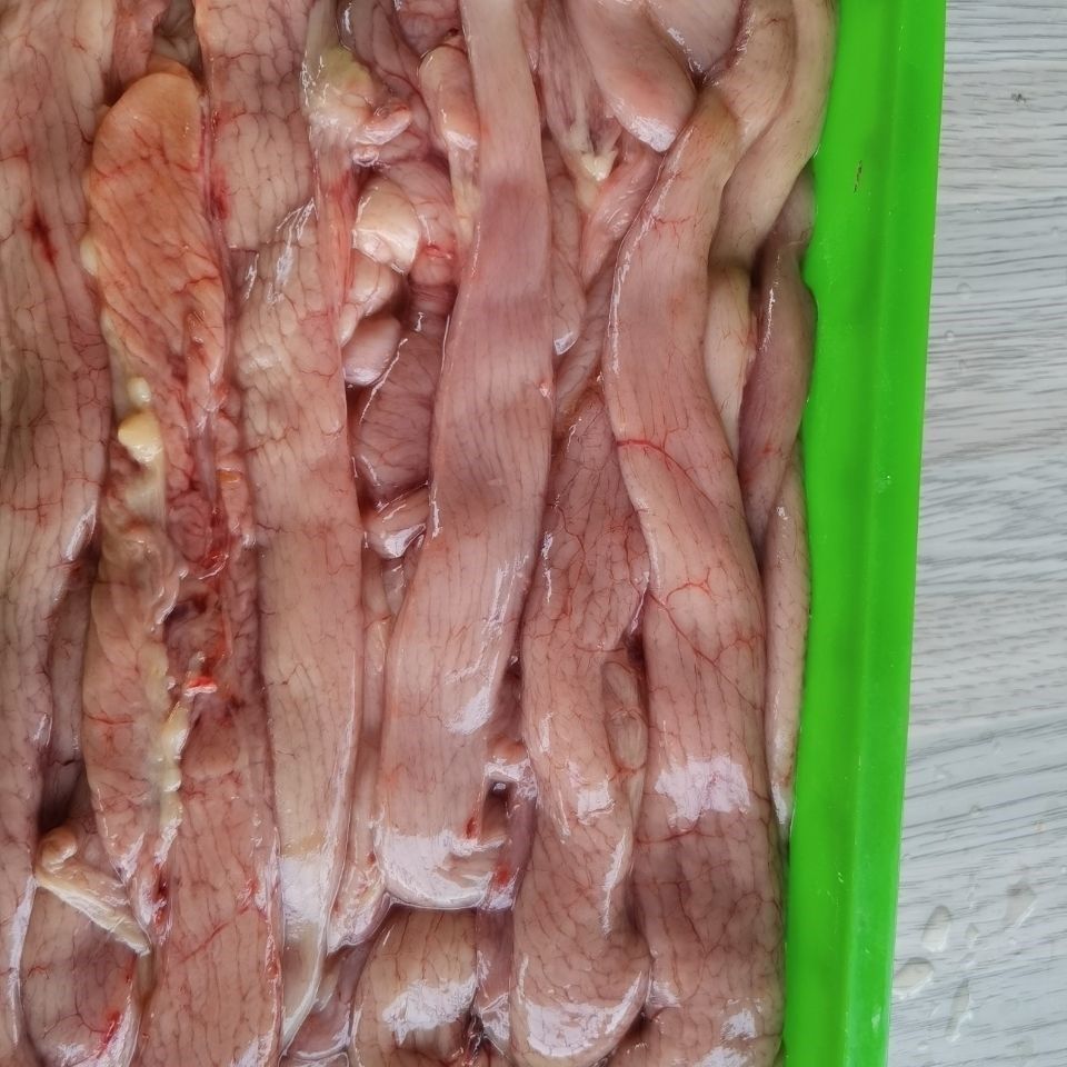 老母鸡蛋包肠 鸡肪子 鸡内脏 新鲜冻品 冷鲜 家庭装 内脏 鸡蛋包肠-2