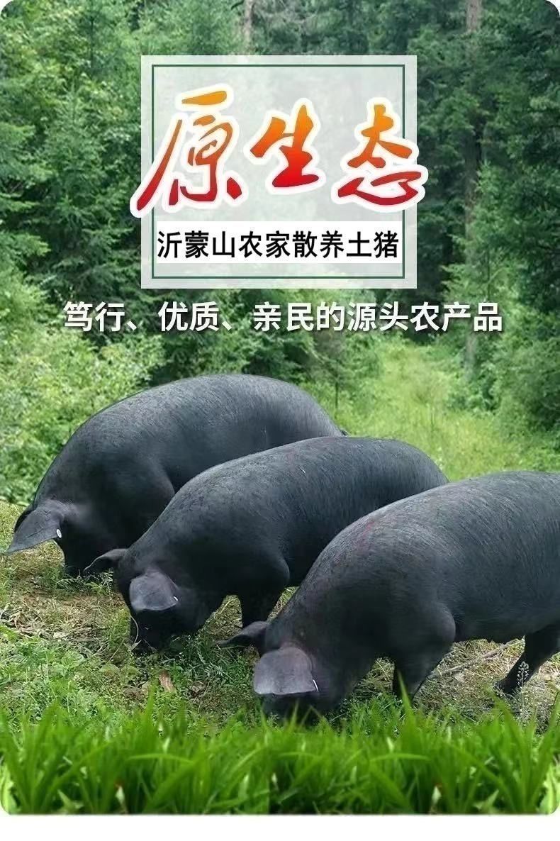 4只装新鲜猪肚子散养土猪猪肚黑猪肚子生猪肉猪胃1只实惠猪肚4只装