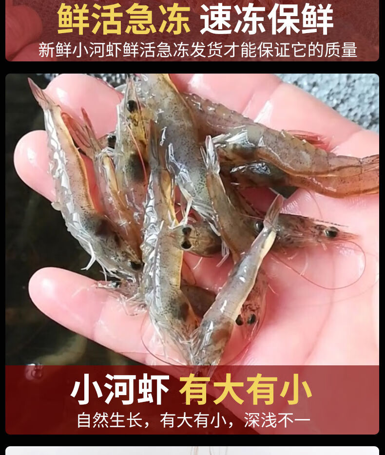 淡水小河蝦冷凍活體新鮮青蝦湖蝦水產急凍小草蝦醉蝦淨重六斤冷凍發貨