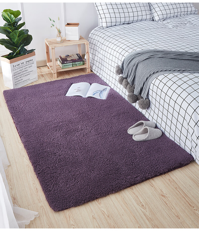 华梦轩家纺家用床边小地毯卧室ins风羊毛绒客厅茶几毯网红女生房间