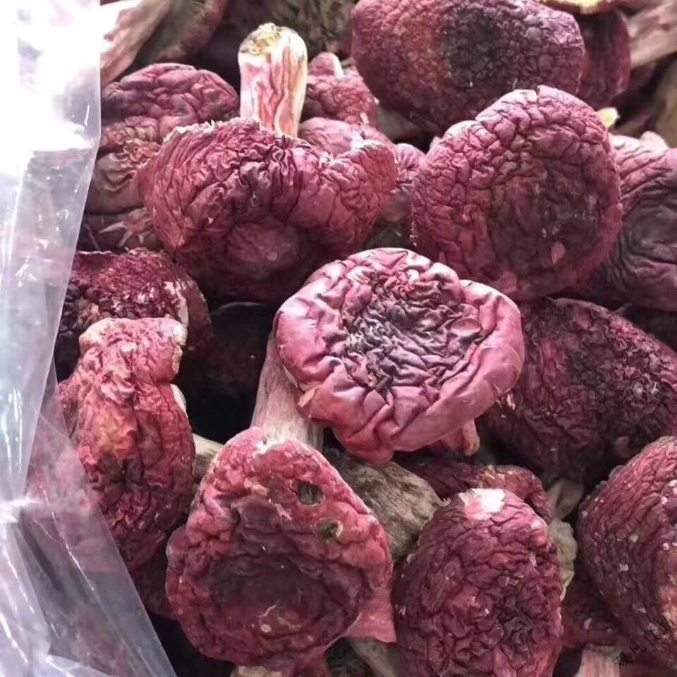 武夷山红蘑菇500g 红菇红蘑菇干货红菌干货滋补月子菇 野生红菇500克