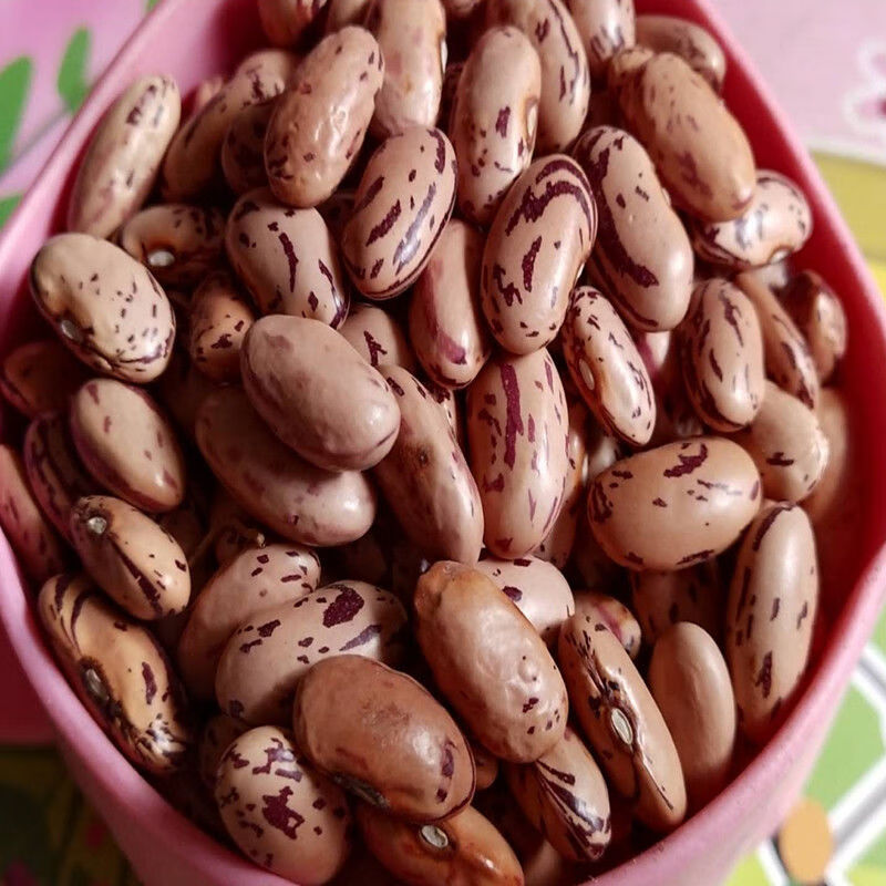 云南雀蛋豆农家自种花生豆雀蛋豆奶花豆红花豆孔雀豆21年新雀蛋豆 5斤