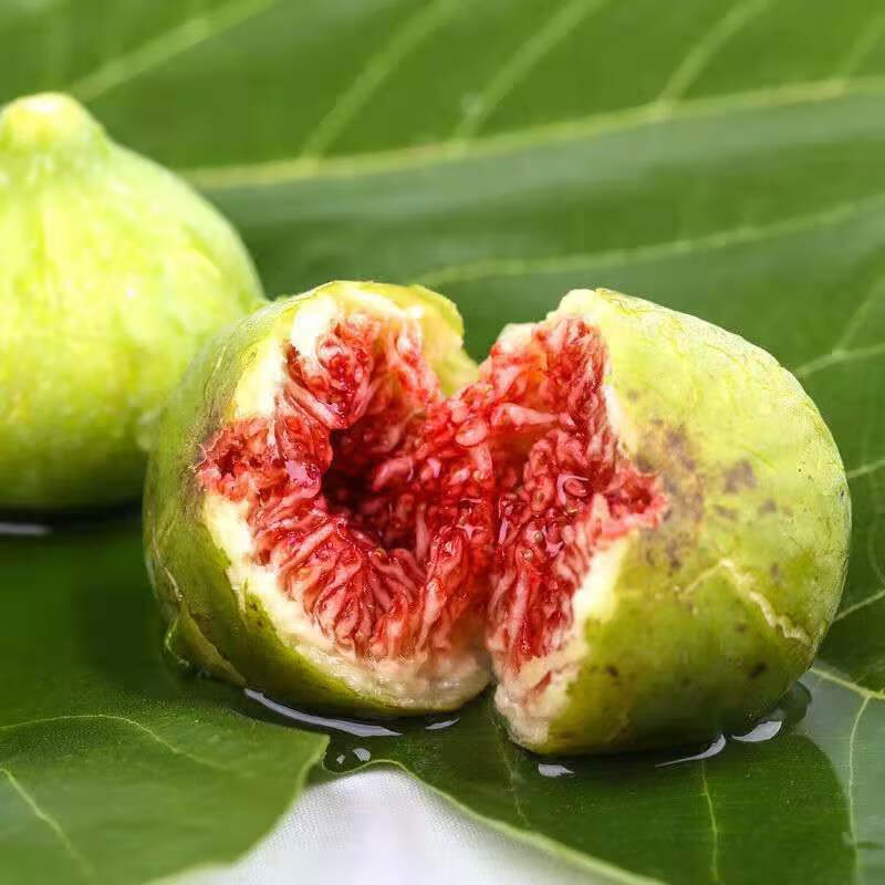 顺丰直达 山东威海无花果山东威海鲜果青皮绿皮新鲜水果水果时令应季