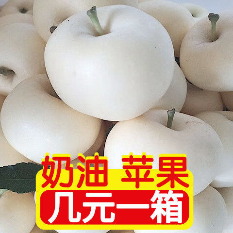 精选正宗奶油白苹果脆甜多汁牛奶黄金红富士萍果冰糖心当季新鲜好水果