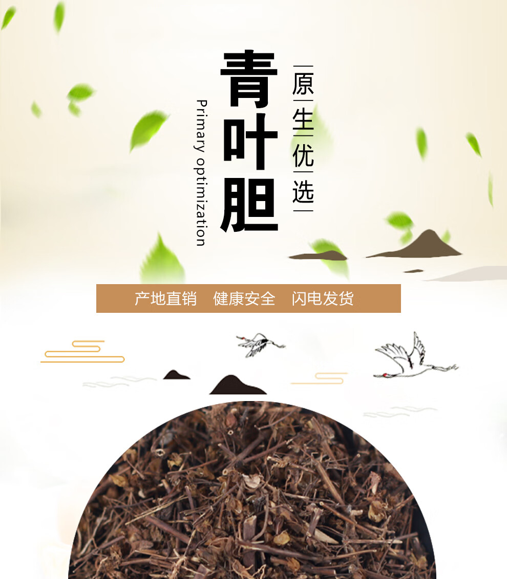 同仁堂青叶胆中药材店铺500g青叶丹走胆药小青鱼胆七疸药散装中草药