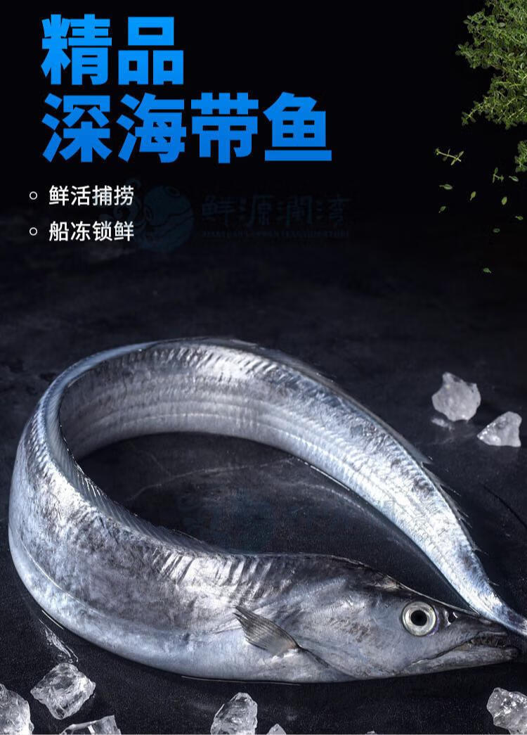 鲜源澜湾特大带鱼新鲜无冰衣带鱼船冻刀鱼整箱带鱼整条东海带鱼海鲜