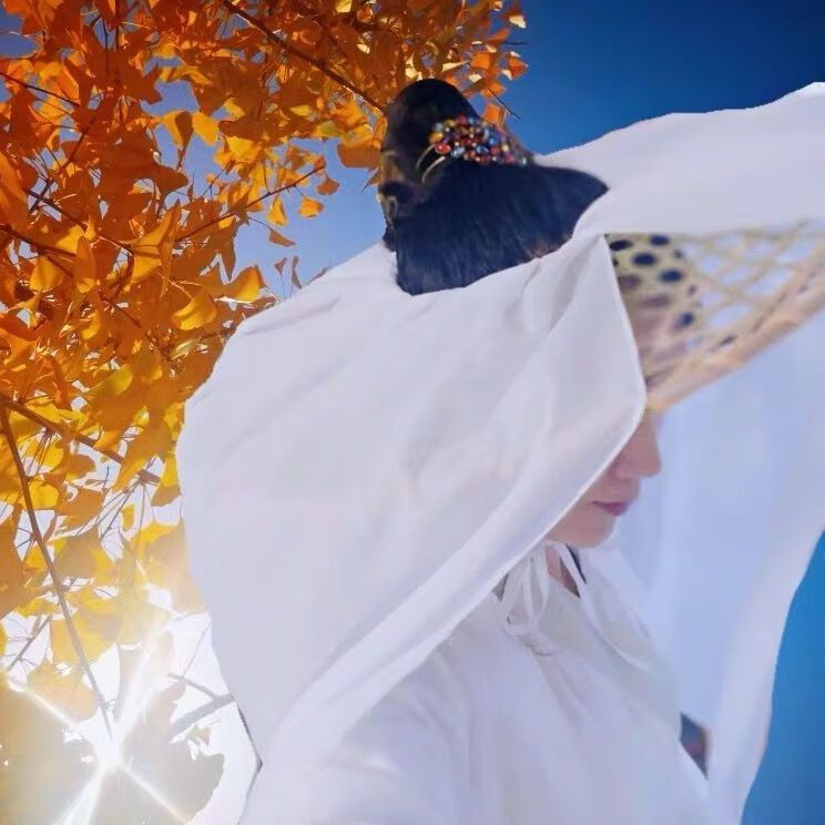 妾纪新品斗笠新款古装汉服斗笠帽子古风女侠客遮脸防晒面纱帷帽幕篱帽