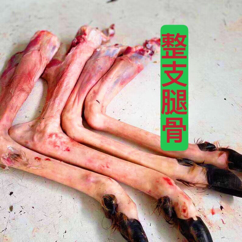 鹿肉新鲜鹿筋鹿腿骨整支鹿腿筋腿带蹄子现杀梅花鹿筋生鲜 克雷蒙 8斤