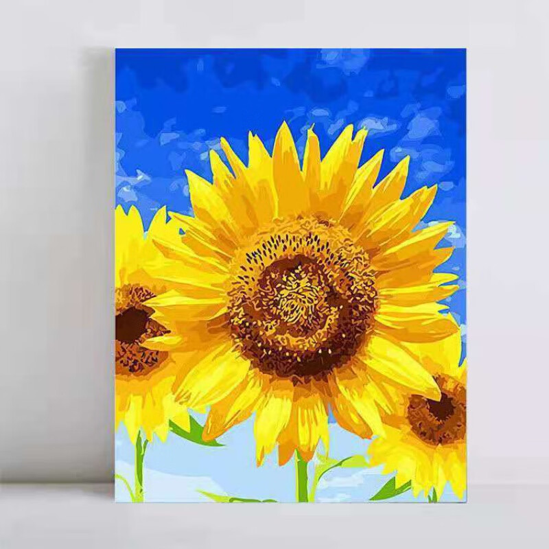 适用于数字油画定制创意 diy数字油画手工填色减压手绘涂色植物花卉