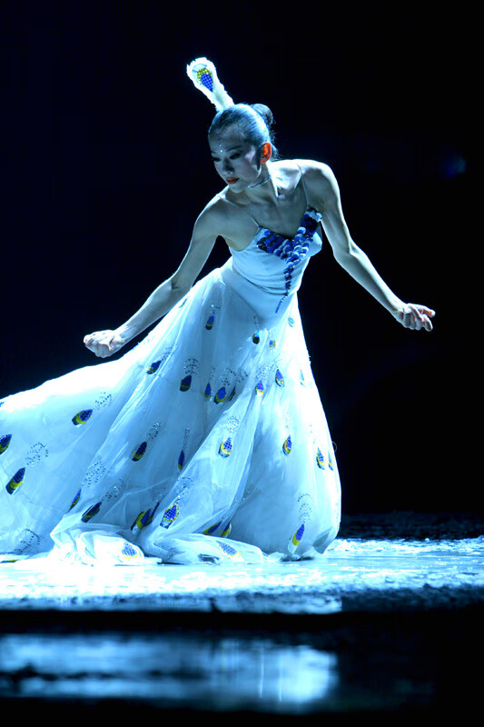 傣族舞蹈服白色孔雀裙舞蹈服傣族服民族服名星同款演出服装杨丽萍孔雀