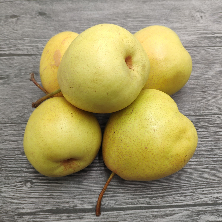 【原产地直发】兰州冬果梨 新鲜水果老兰州味道特产煮热冬果梨 汤西园
