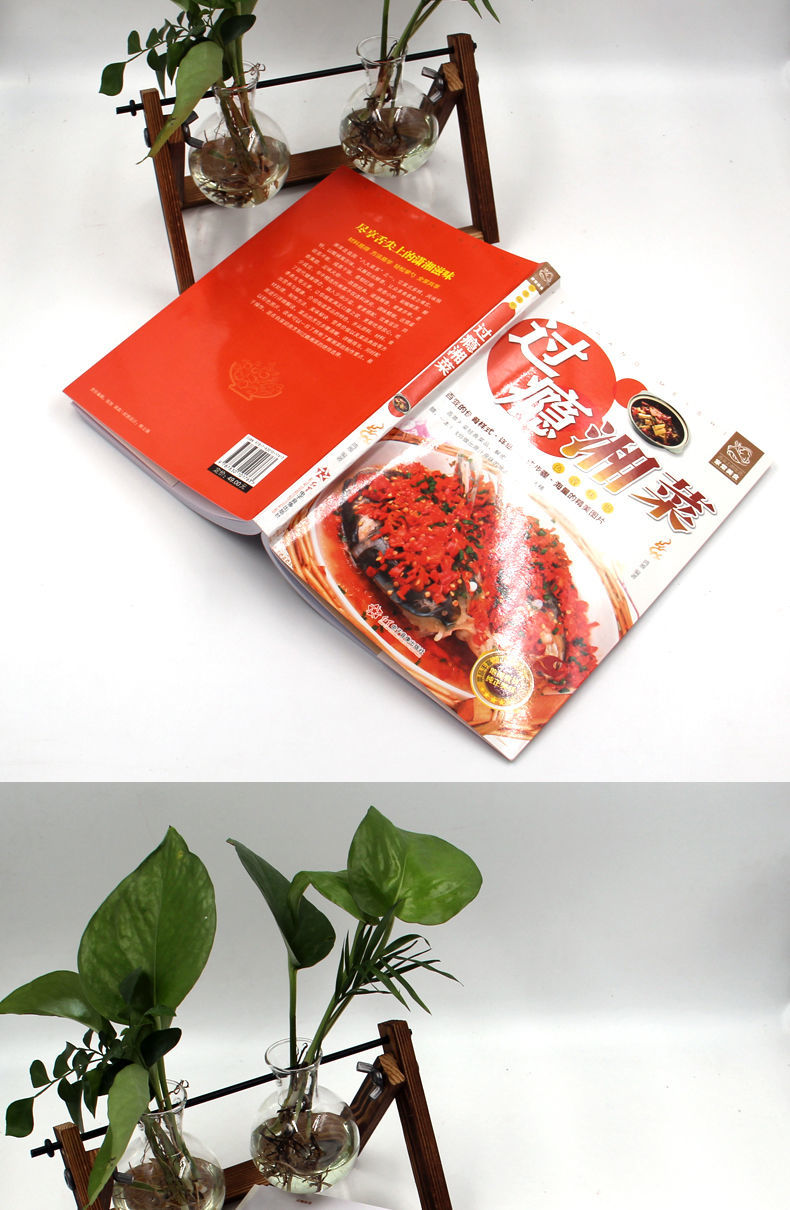 过瘾湘菜正宗湖南菜谱菜谱大全书籍书籍湘菜菜谱家常菜的菜谱书过瘾