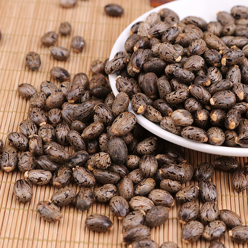 野生蓖麻子蓖麻籽50-500克中药材红大麻子蓖麻仁蓖麻种子内廷上用
