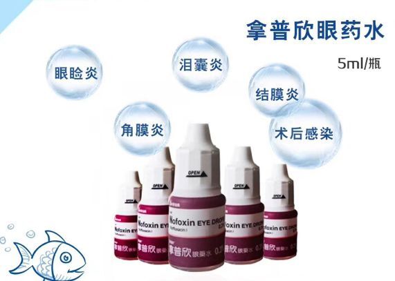 麦迪森拿普欣眼药水滴眼液宠物犬狗猫眼睑结膜角膜炎术后感染