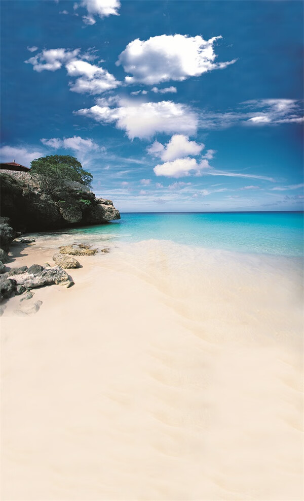 极惠家 大海背景布 大海沙滩蓝天白云海边椰树风景主播拍视频段子直播