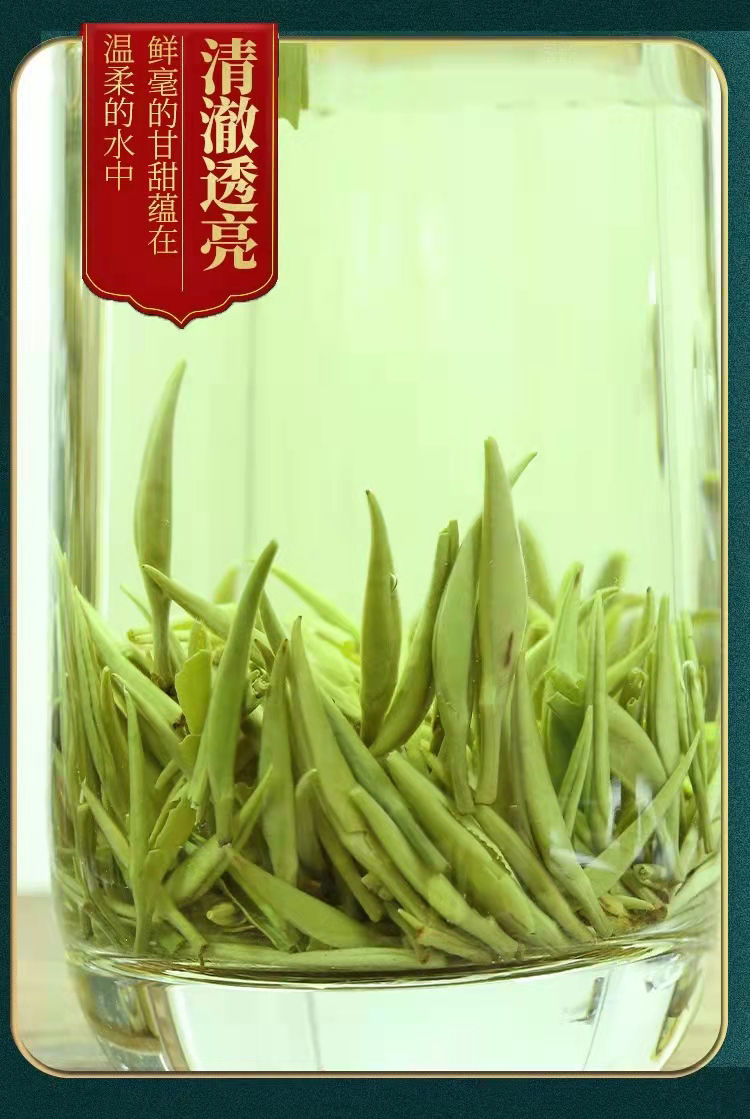 新茶踏雪兰妃兰花香奶香高品质四川蒙顶甘露好茶花茶茶叶踏雪兰妃100