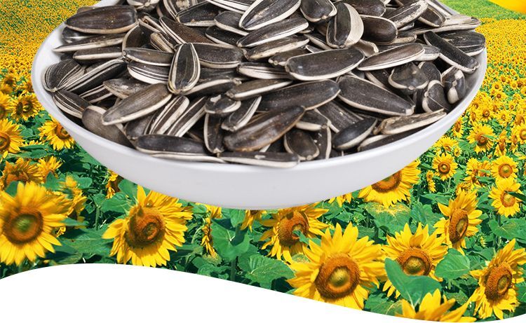 新疆阿勒泰布尔津县特产 喀纳斯喀润原味瓜子葵花籽1公斤 1000克*2