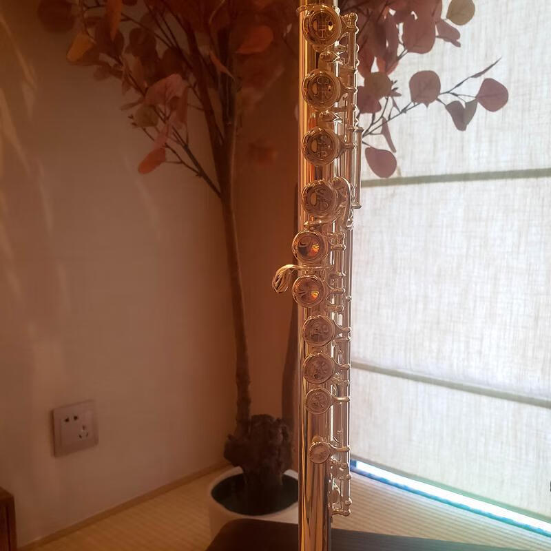 杰普特/jupiter 长笛 jfl系列长笛 纯银长笛开孔闭孔低音b尾品质定制