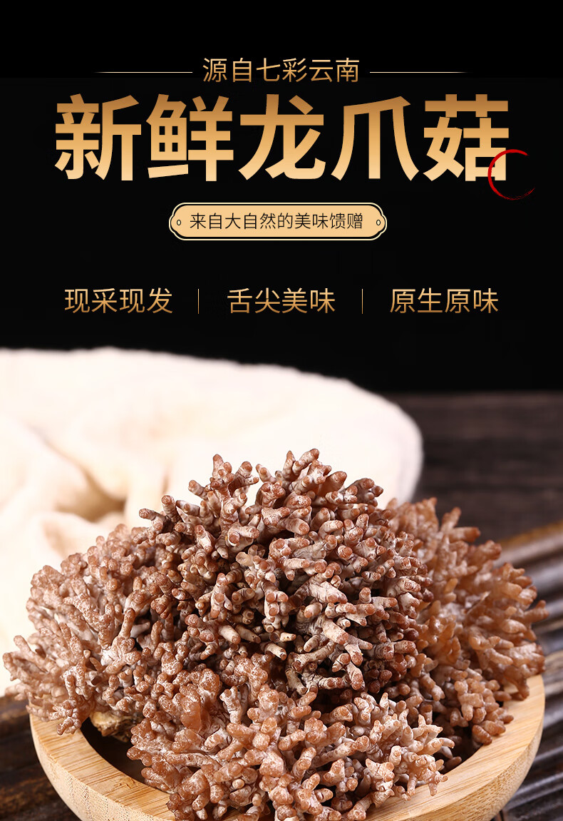 【新鲜龙爪菇1斤】云南当季时令山珍菌类蔬菜蘑菇菌煲汤火锅 新鲜龙爪