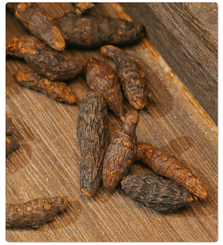 野生香附子中药材500g香附茶 生香附炒香附醋香附醋制 香附粉 生香附