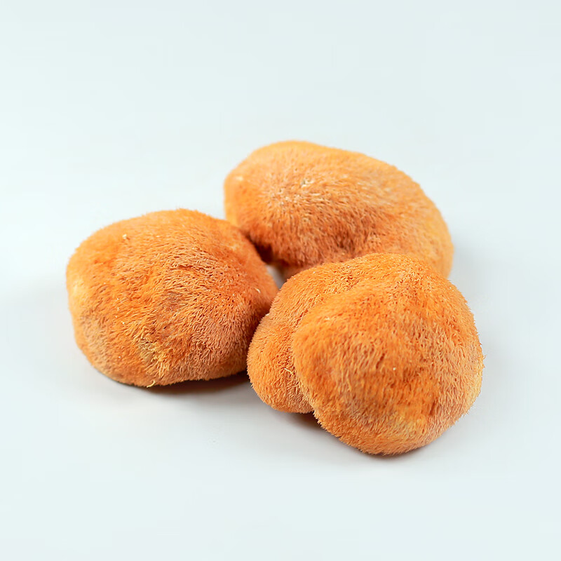 同仁堂猴头菇新鲜干货古田猴头姑药用中药材刺猬菌菌菇山猴头菌蘑菇