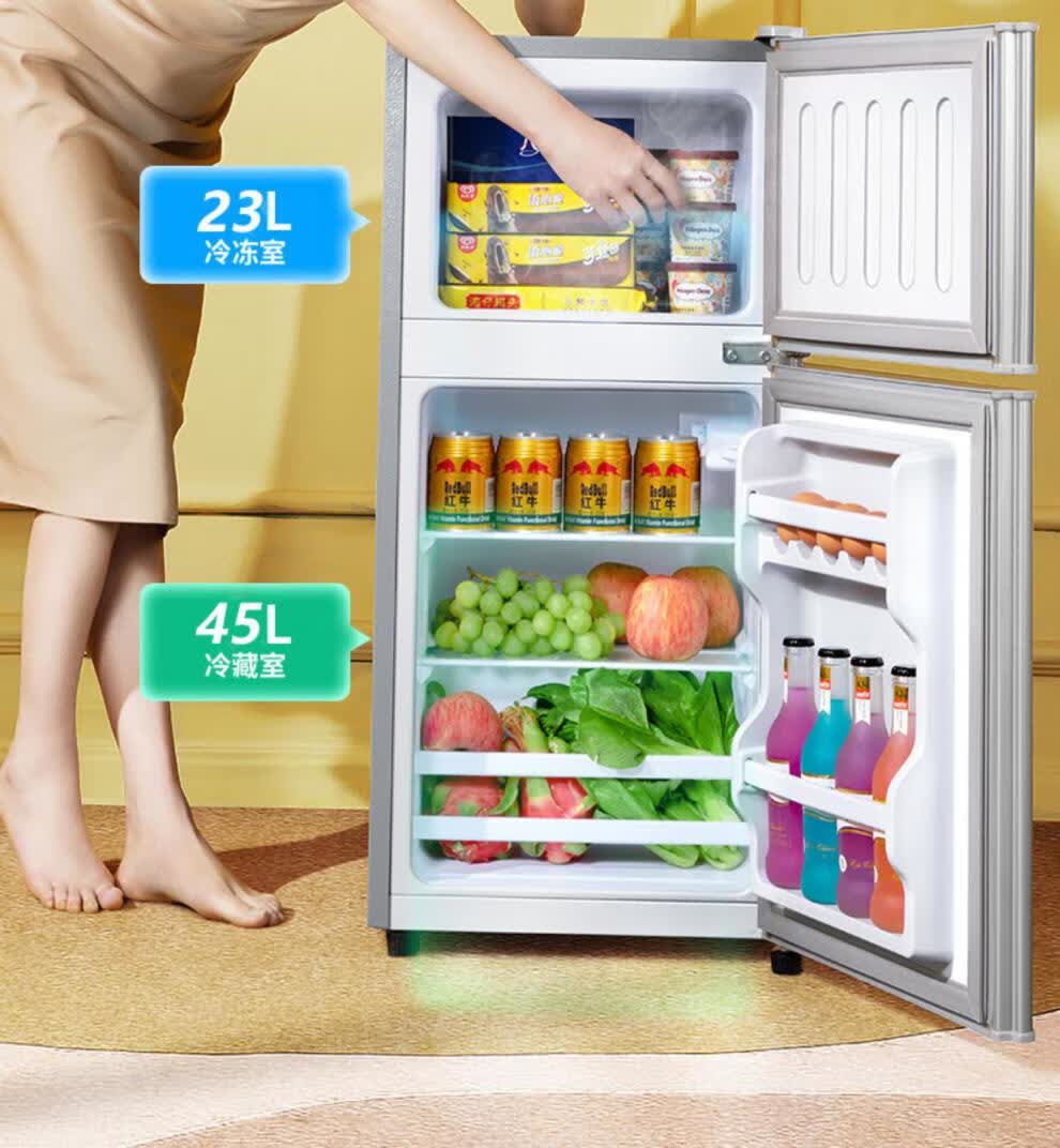 荣事达小冰箱小型家用省电双开门小迷你出租房宿舍双门冷冻冷藏一级