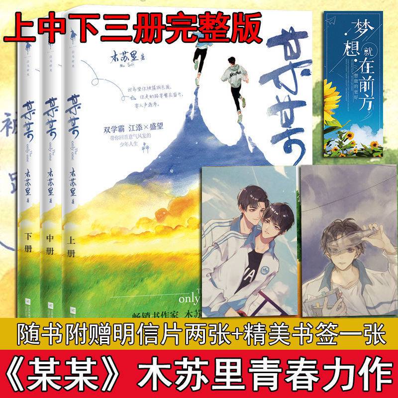 某某全套无删减木苏里正版实体书小说晋江校园青春言小说多规格某某