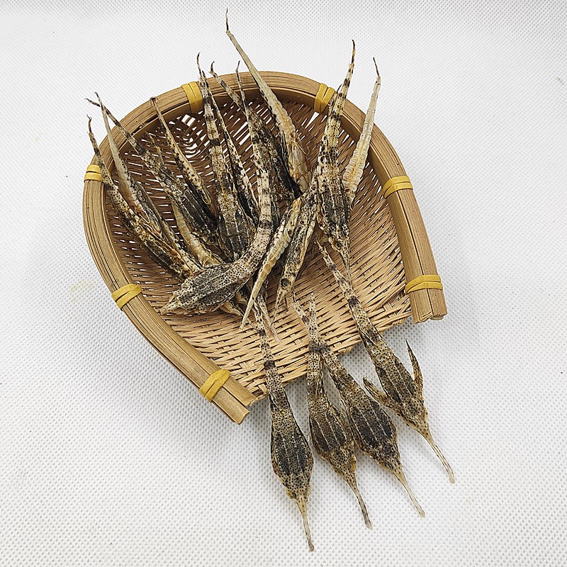 北海特产 50g 干海味泡酒料 浸酒料煲汤料海麻雀海雀海燕干货【图片