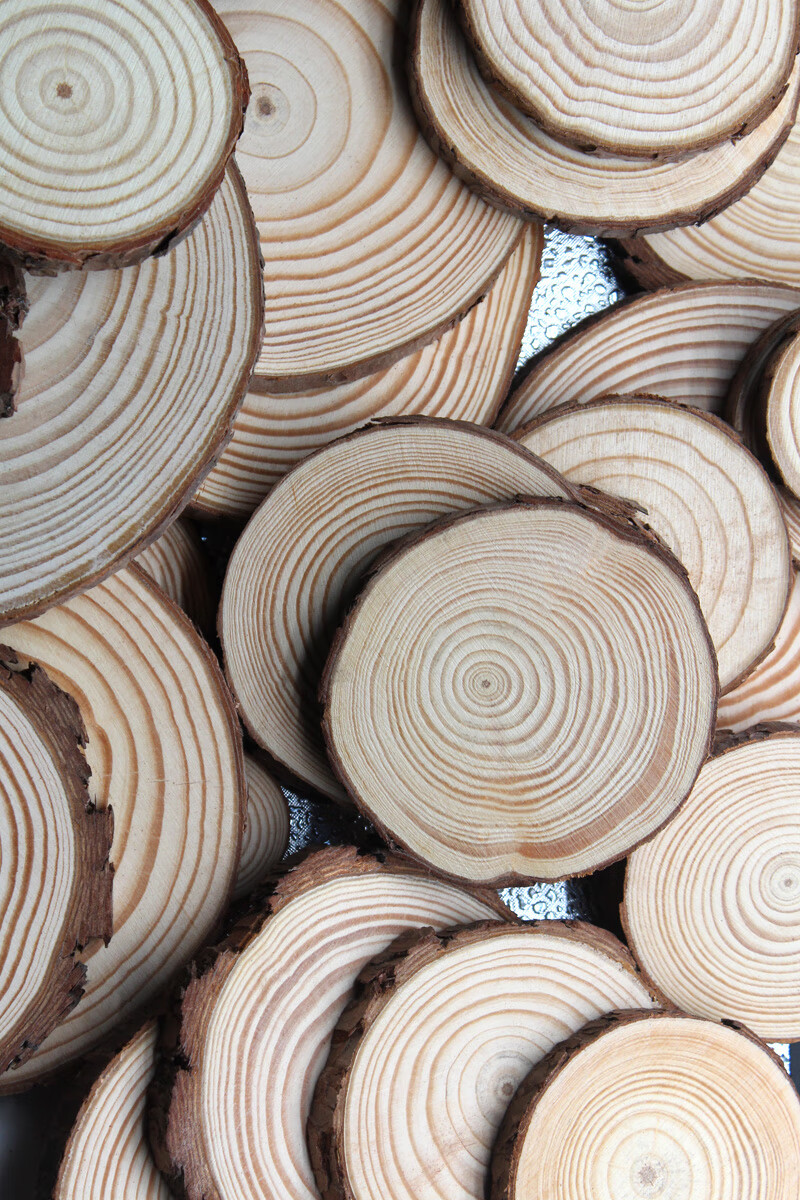 圆木片年轮原木片幼儿园diy手工装饰材料原木头片小圆形手绘木片 直径