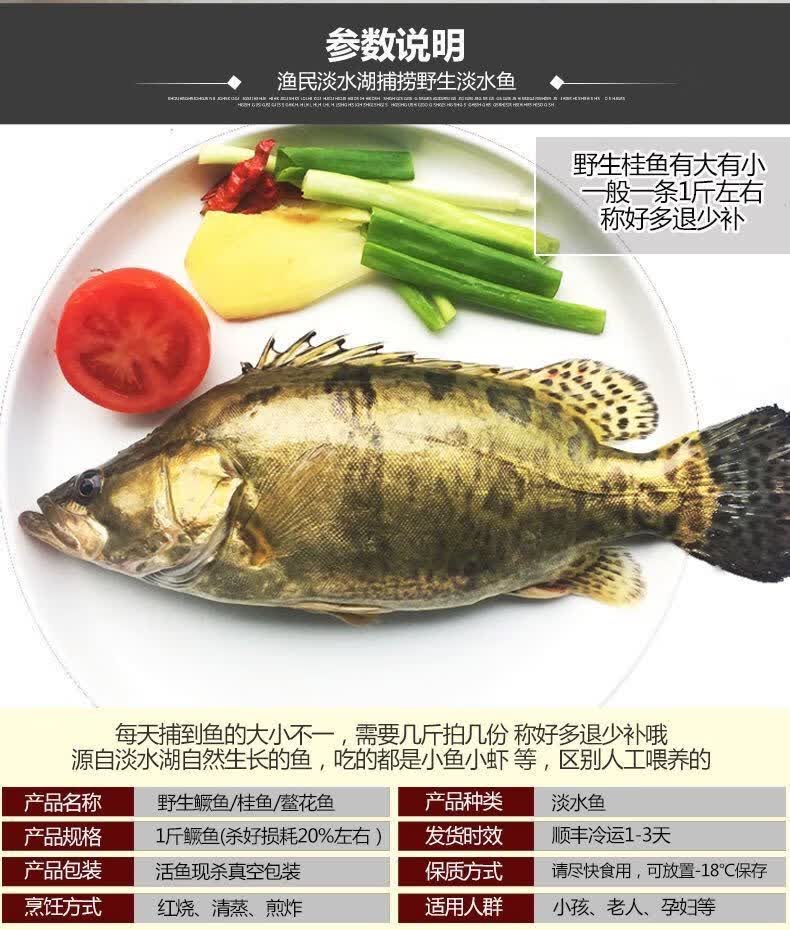 鲜活鳜鱼桂鱼鳌花鱼桂花鱼季花鱼鲜活现杀半斤左右一条两条装