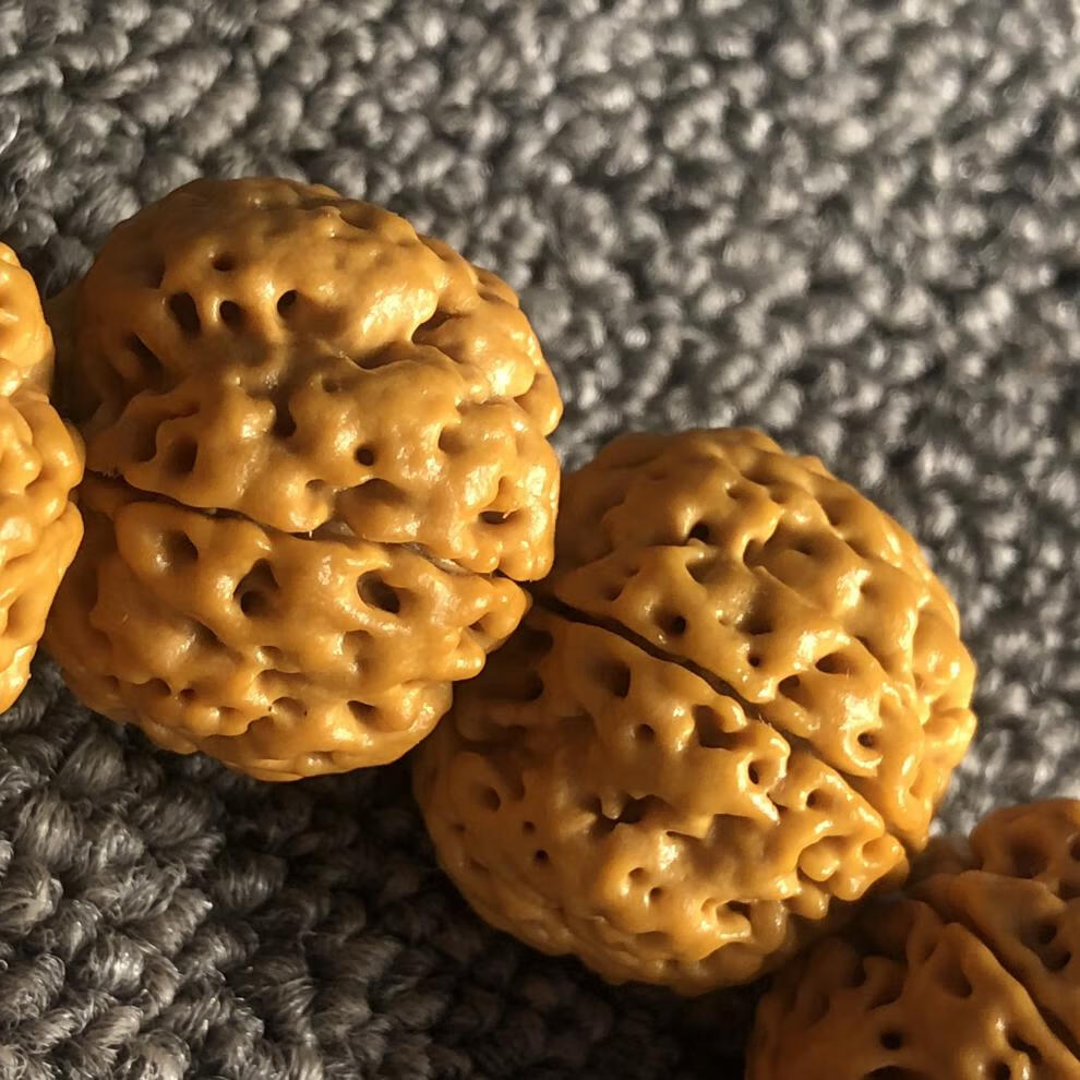 京选好货收藏级真尼泊尔大金刚菩提子手串佛珠五星爆满肉蜂窝王双龙姜