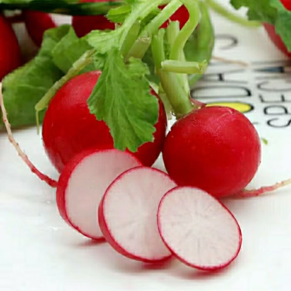 东北新鲜樱桃萝卜红皮迷你小水萝卜小红圆萝卜生吃脆甜蘸酱菜三斤