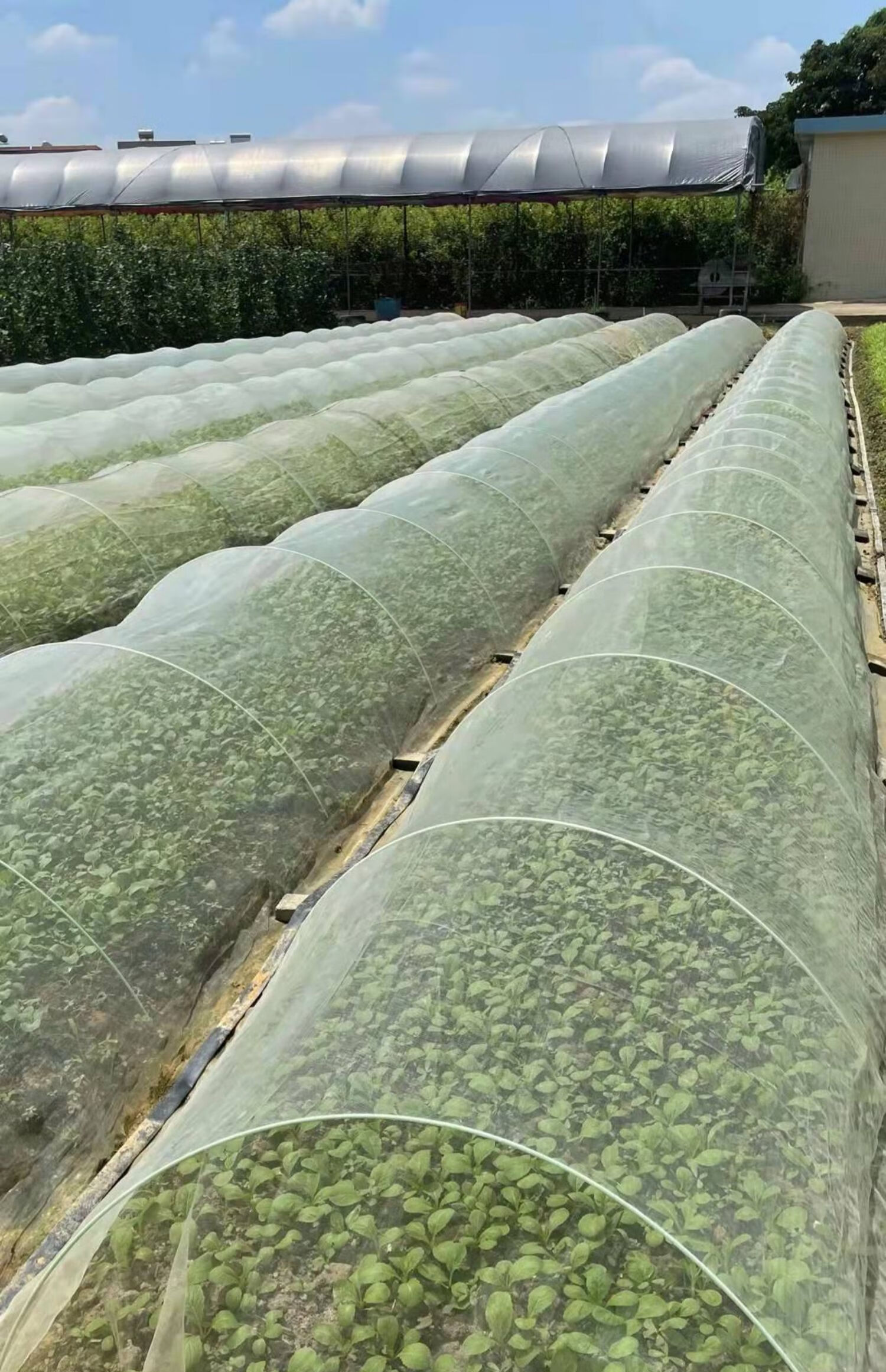 实心拱棚小支架蔬菜拱杆农用保温棚骨架不老化高弹力玻璃纤维棒4毫米1